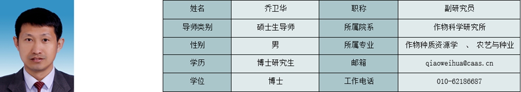 乔卫华_副本.jpg