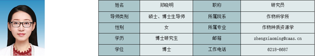 郑晓明_副本.jpg
