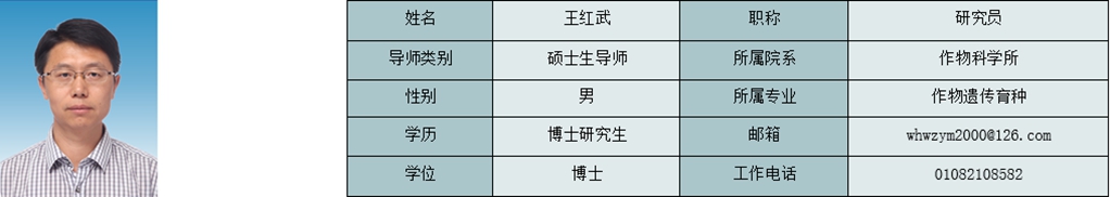 王红武_副本.jpg