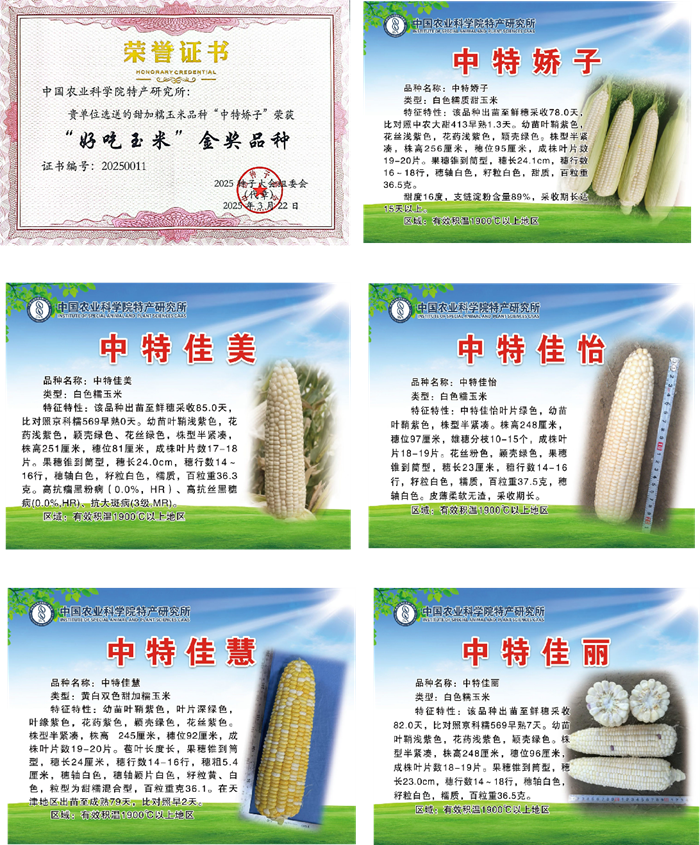 图片4.png