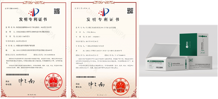图片7.png