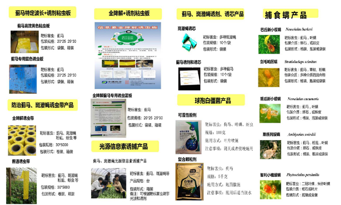 图片3.png