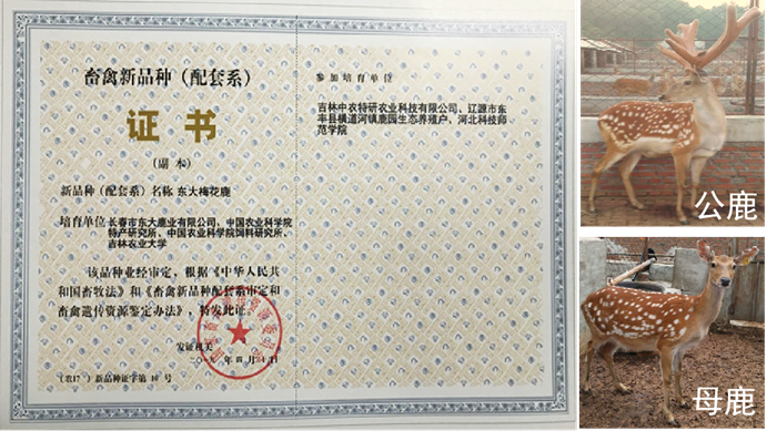 图片6.png