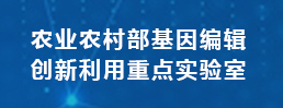 农业农村部基因编辑创新利用重点实验室